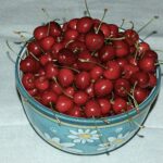 1755462332652×649302812445733400-feature