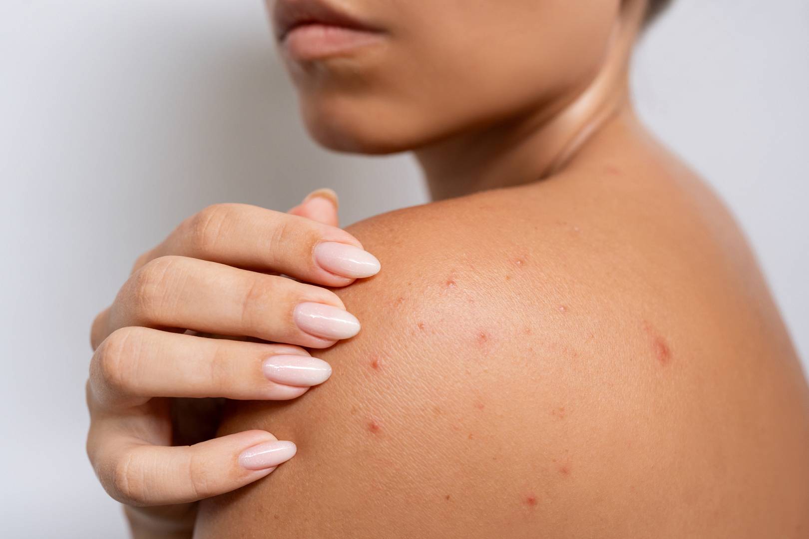 adobestock_1222704301_wp